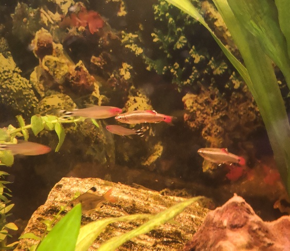 PSX_20180711_135934_resized_20180711_020815346